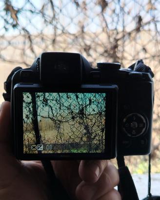 Macchine fotografiche