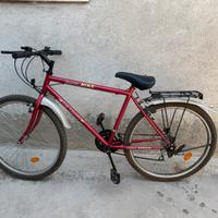 Mountain bike
