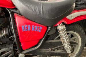 Aprilia 50 red rose 1988