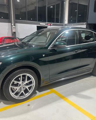 Stelvio TI verde Visconti