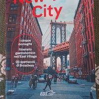 NEW YORK LONELY PLANET 