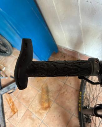 Bicicletta