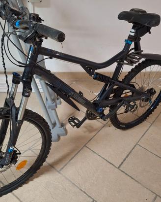 bicicletta