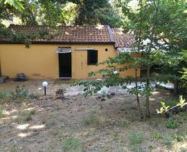 Casetta nel bosco con terreno