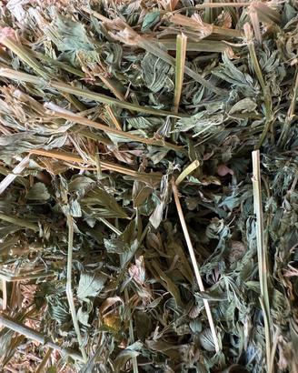 fieno di erba medica e foraggio seminato