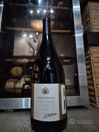 Barthenau 1995 MAGNUM