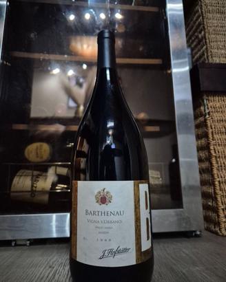 Barthenau 1995 MAGNUM