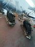 coppia-motori-fuoribordo-mercury-yamaha-f225-4t