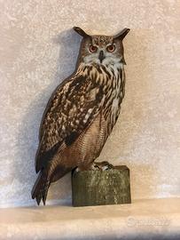 Gufo in legno 3