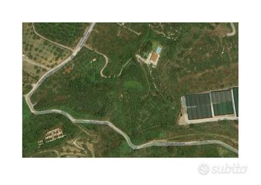 Terreno agricolo Terme Vigliatore