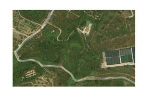 Terreno agricolo Terme Vigliatore