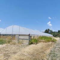 Serra agrigola