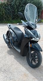  Sh 350 anno 2024