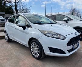 Ford Fiesta 1.4 5 porte Bz.- GPL Business