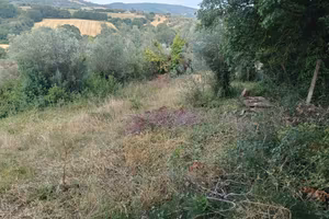 Terreno di 1000 m² a Corciano