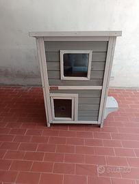casette per gatto