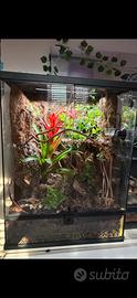 Allestico terrari