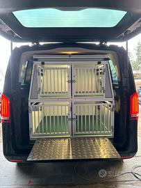 Gabbia cani trasportino