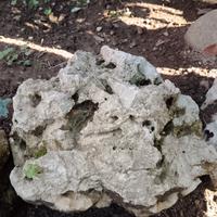 Rocce ornamentali da giardino N. 20