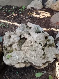 Rocce ornamentali da giardino N. 20