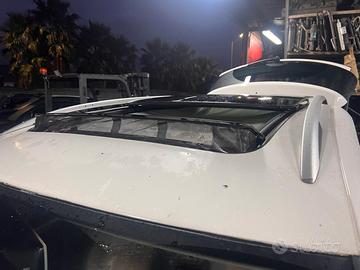 Tetto Panoramico Tiguan