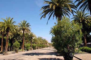 Fine estate in riviera delle palme