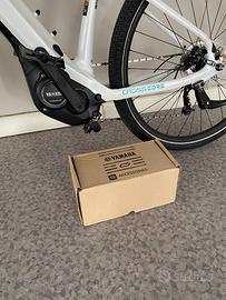 Bicicletta elettrica