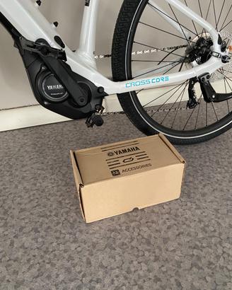 Bicicletta elettrica