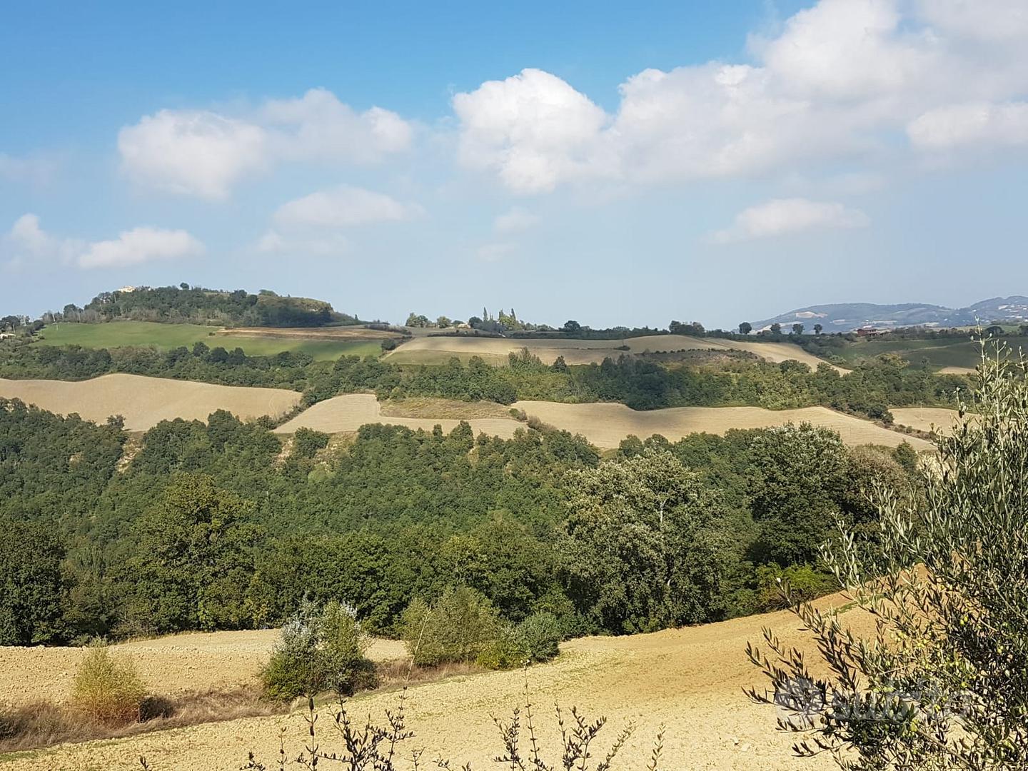 Terreno con rustico - View 5