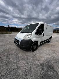 Fiat ducato L1 H1