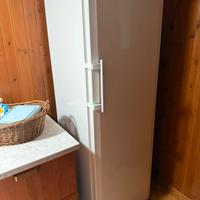 Freezer armadio Liebherr