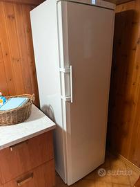 Freezer armadio Liebherr