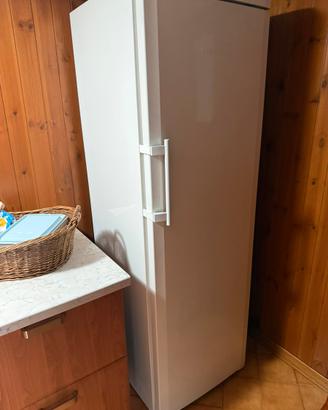 Freezer armadio Liebherr