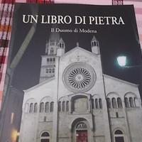 Libro sul Duomo di Modena