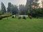 Immagine 8