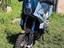 Immagine 6