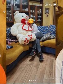 Orso gigante
