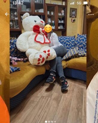 Orso gigante