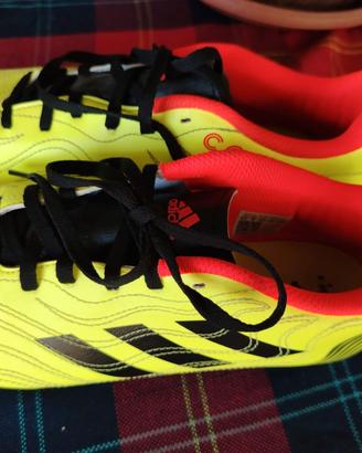 scarpe sport