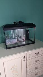 Acquario 55 litri