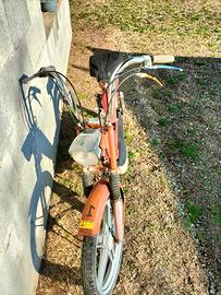 Beta Altro modello - Senz