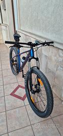 Trek roscoe 6