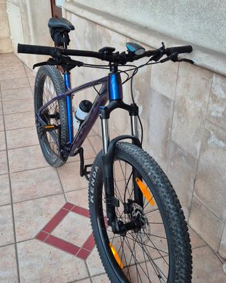 Trek roscoe 6