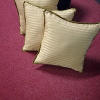 Cuscini con spazzolina