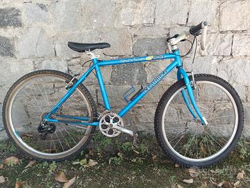 bicicletta