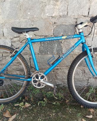 bicicletta
