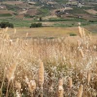 Terreno - Calatafimi-Segesta