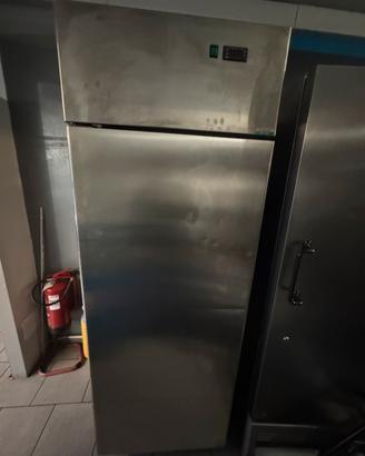 Frigor professionale