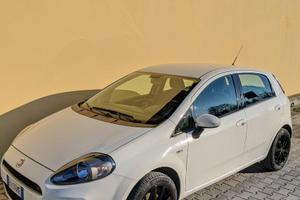 FIAT PUNTO LOUNGE