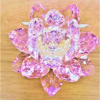 Swarovski, ninfea WATERLILY ROSALINE